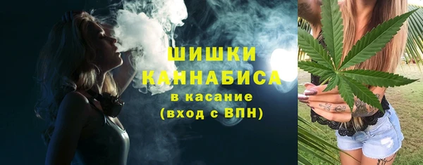 PSILOCYBIN Ладушкин