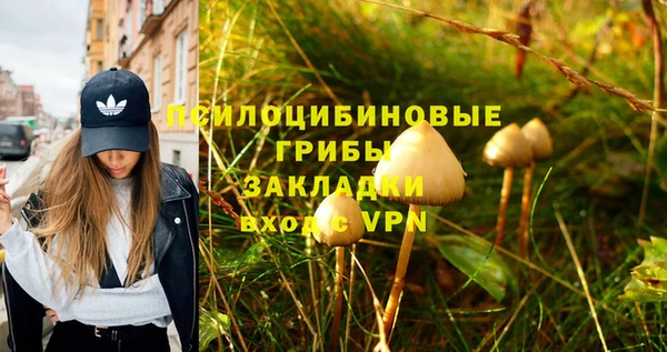 PSILOCYBIN Ладушкин