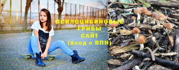 PSILOCYBIN Лабытнанги