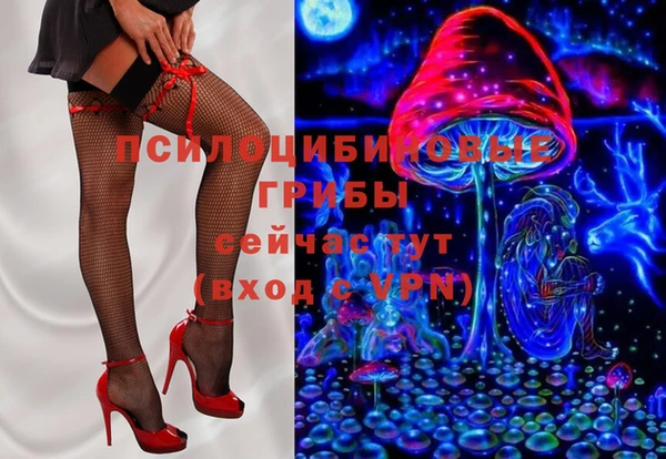 PSILOCYBIN Лабытнанги